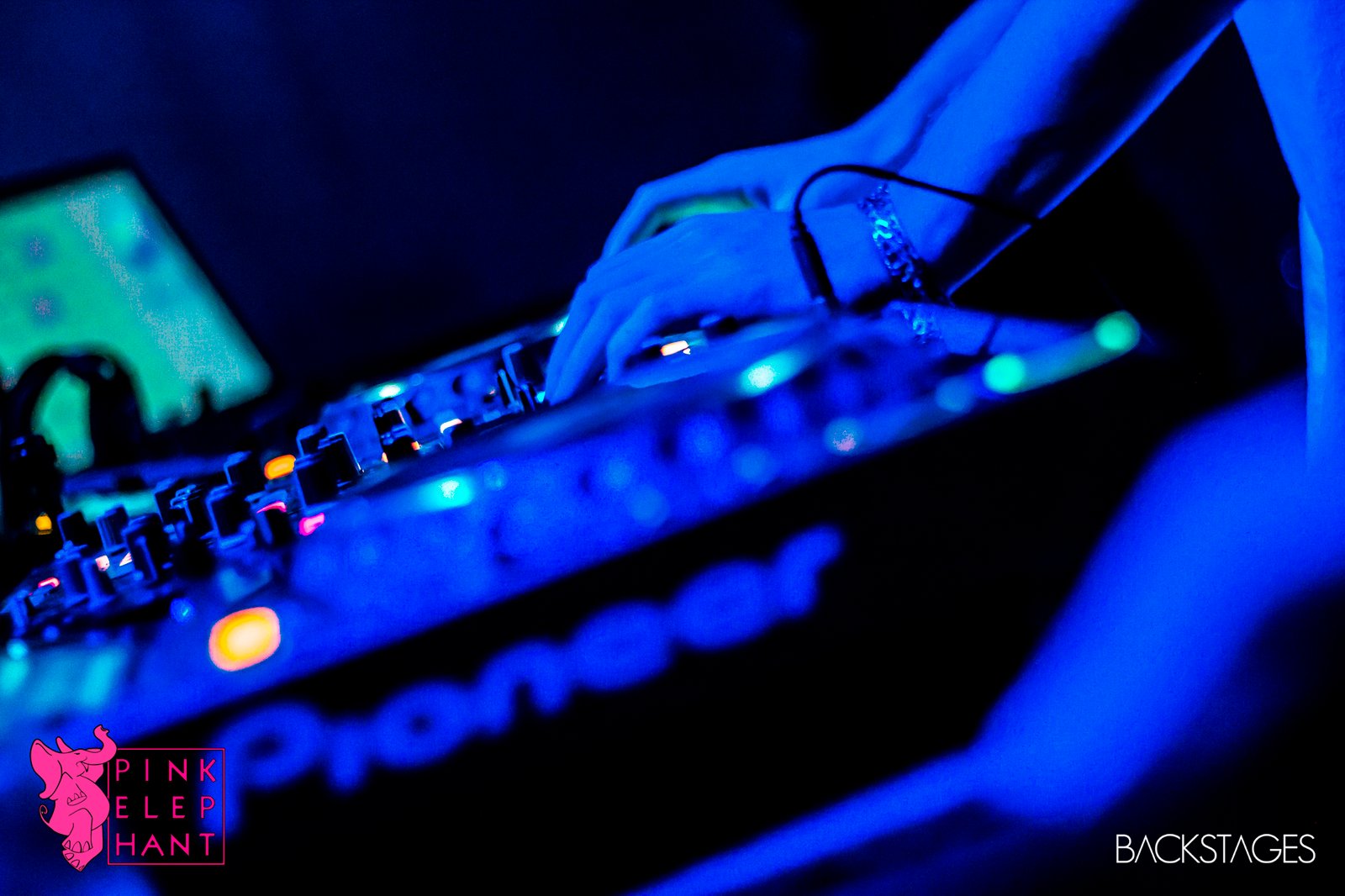 Pink-elephant-2017-kenzi-marinho-04-02-2017-sorocaba-sp (41)