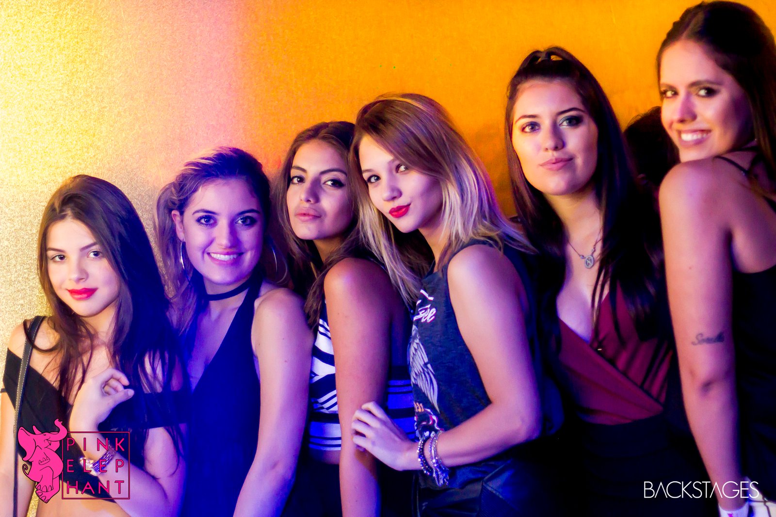 Pink-elephant-2017-kenzi-marinho-04-02-2017-sorocaba-sp (48)