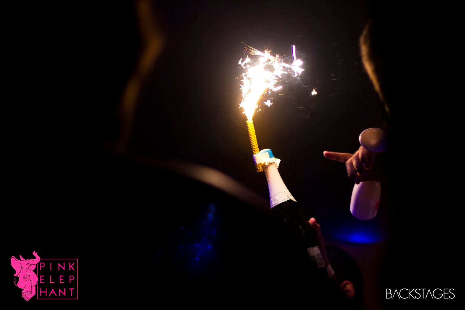 Pink-elephant-2017-kenzi-marinho-04-02-2017-sorocaba-sp (5)