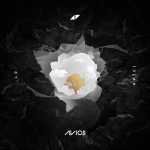 avicii-avici